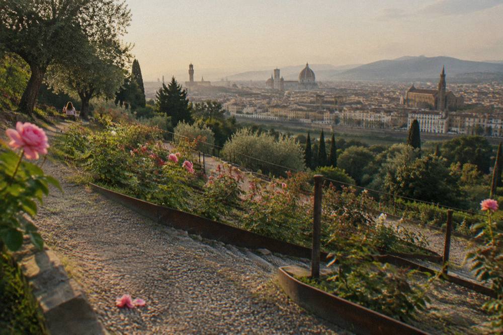 Looking down terraced rose beds cut into the hillside, rusted iron bed edging and dry gravel paths, the city skyline hazy beyond, a fallen pink bloom on the stones