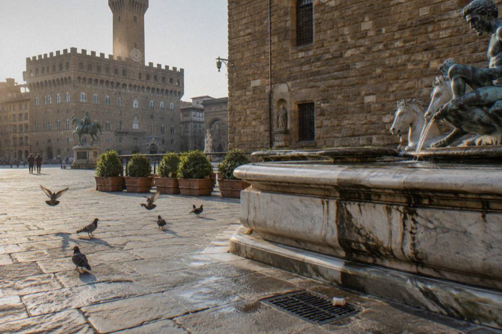 An empty corner of the square in raking sunlight, rusticated stone palazzo walls and a marble fountain, a discarded paper cup by the drain, pigeons scattering