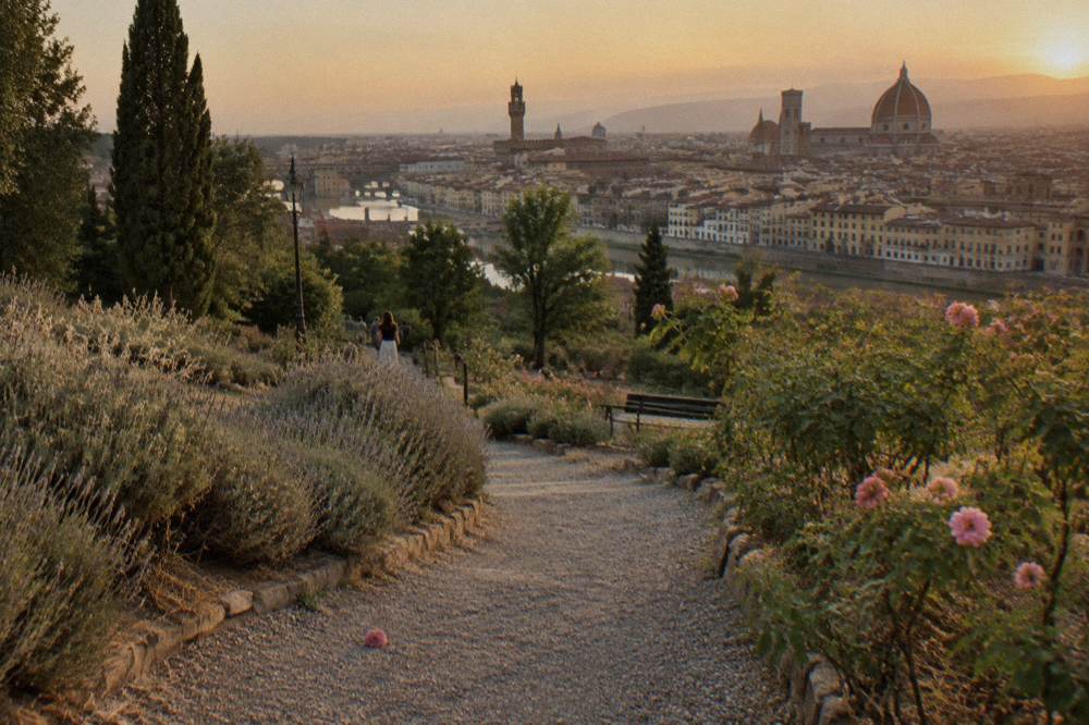 A dusty gravel path descending the hillside rose garden between dry lavender beds, terracotta rooftops and the Arno spread below, a fallen bloom on the gravel, hazy golden light