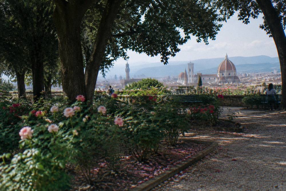 A shaded rose bed under dark holm-oak trees, fallen petals scattered on gravel, terracotta rooftops and the cathedral dome glimpsed beyond the garden wall