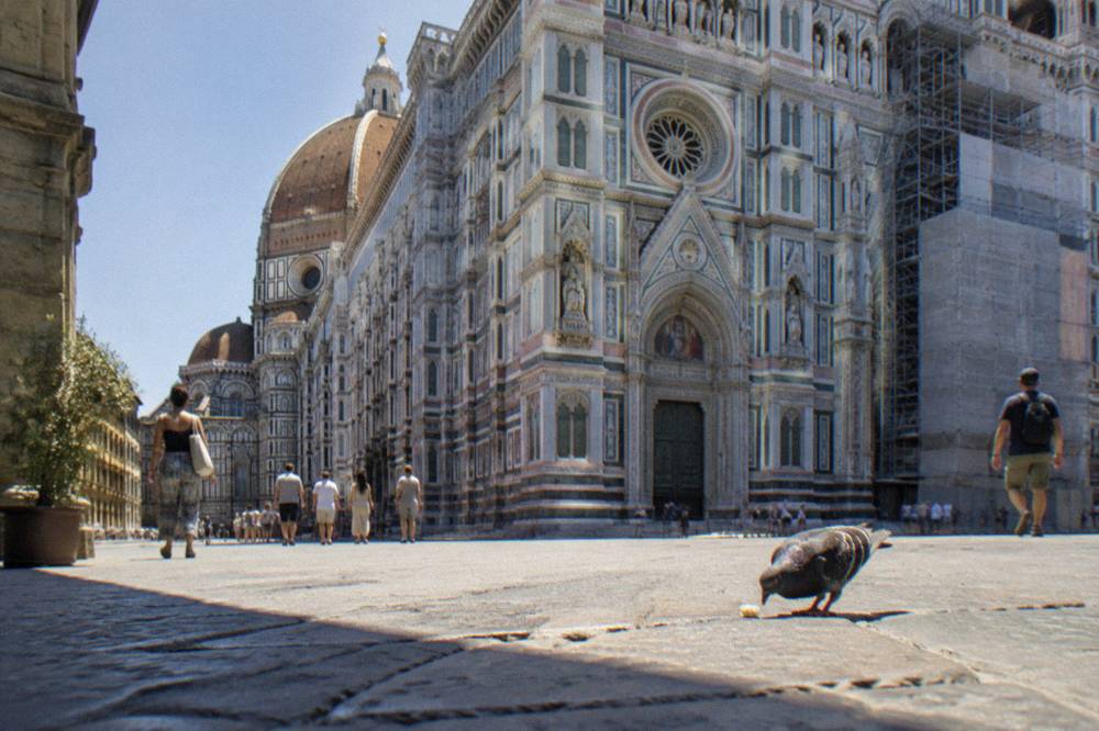 Low across the sun-bleached piazza paving toward the cathedral's white, green and pink inlaid marble facade, scaffolding netting at one corner, a pigeon pecking at a dropped crumb