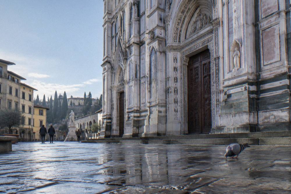 Low across damp flagstones toward the basilica's polychrome marble facade, striped green and pink panels crisp in shadow, a pigeon pecking by the arched doorway