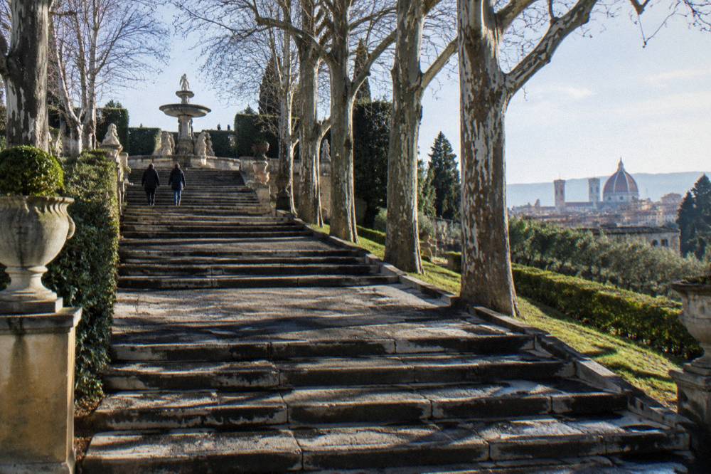 High view up a steep stone staircase climbing a terraced slope toward a classical fountain, bare plane trees casting long shadows over the frosty steps, damp patches darkening the treads