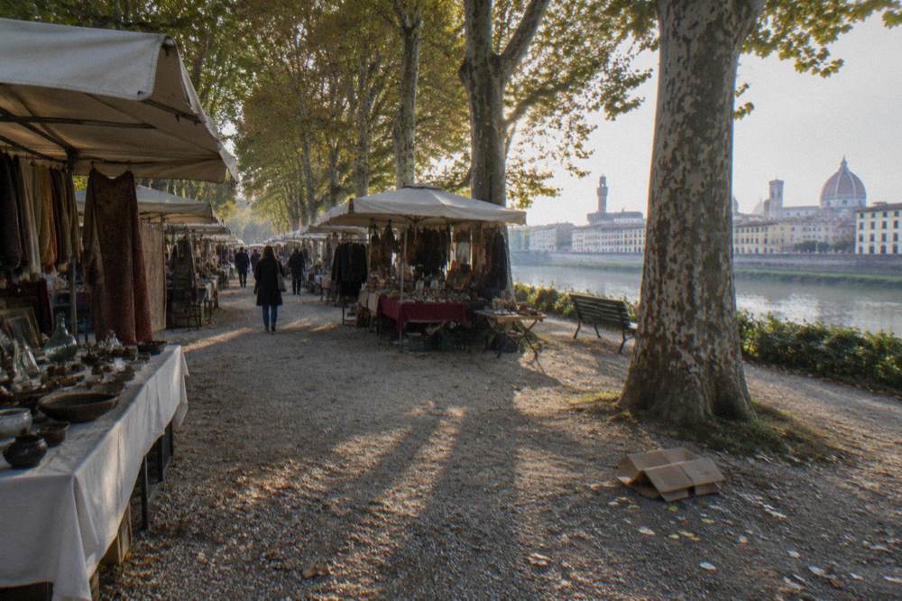 Rows of open-air stalls along a dusty avenue under tall plane trees beside the Arno, low sun through leaves, a folded cardboard box and scattered price stickers on the gravel