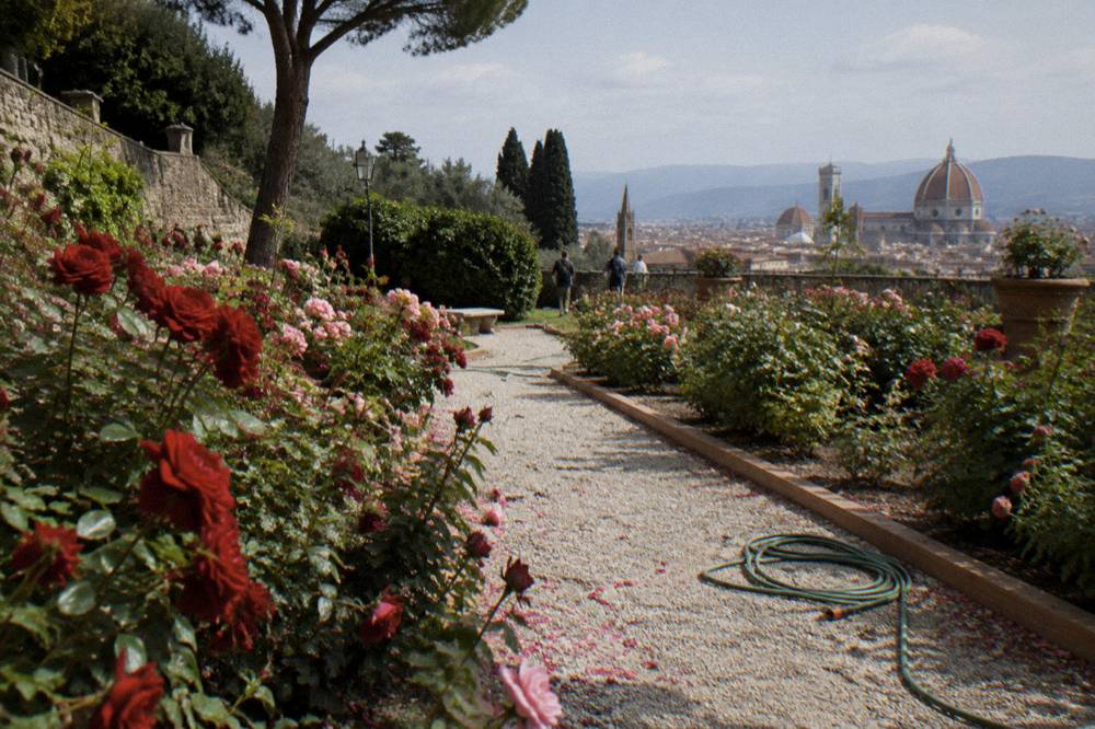 Rows of red and pink roses blooming along a pale gravel path between terracotta-edged beds, a sprinkler hose coiled half-open, petals scattered on the gravel