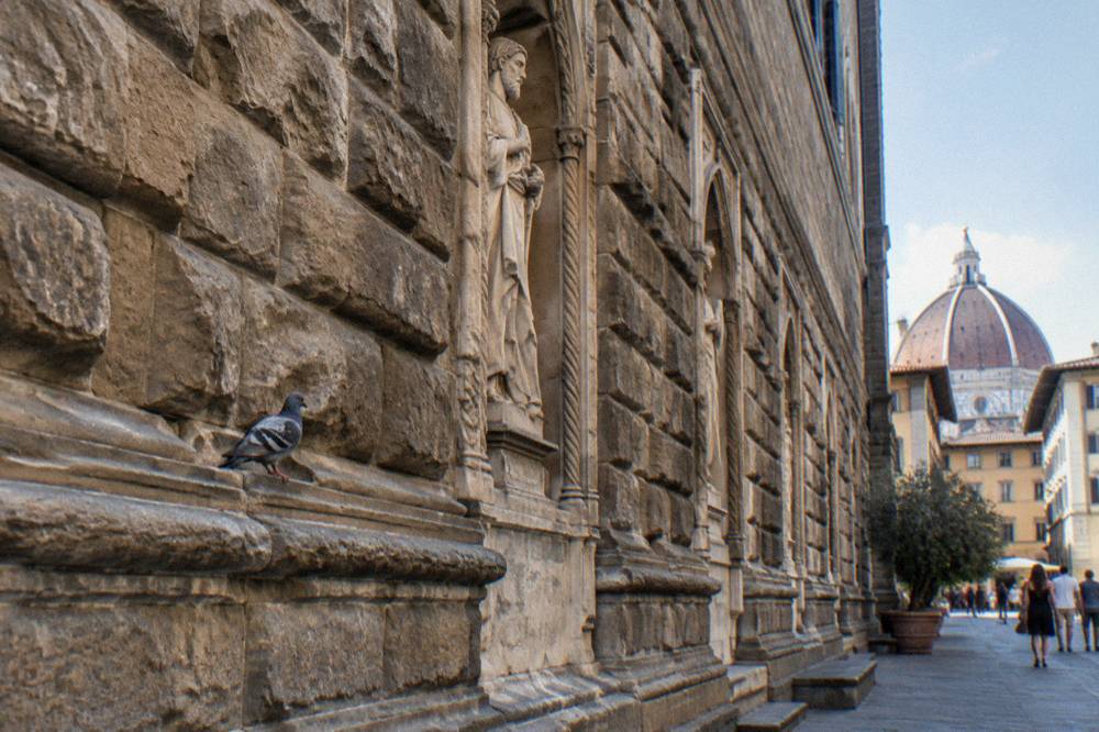Tall pointed stone niches receding in summer afternoon light, a pigeon shifting on a ledge, dust in the joints of the blocks, Orsanmichele